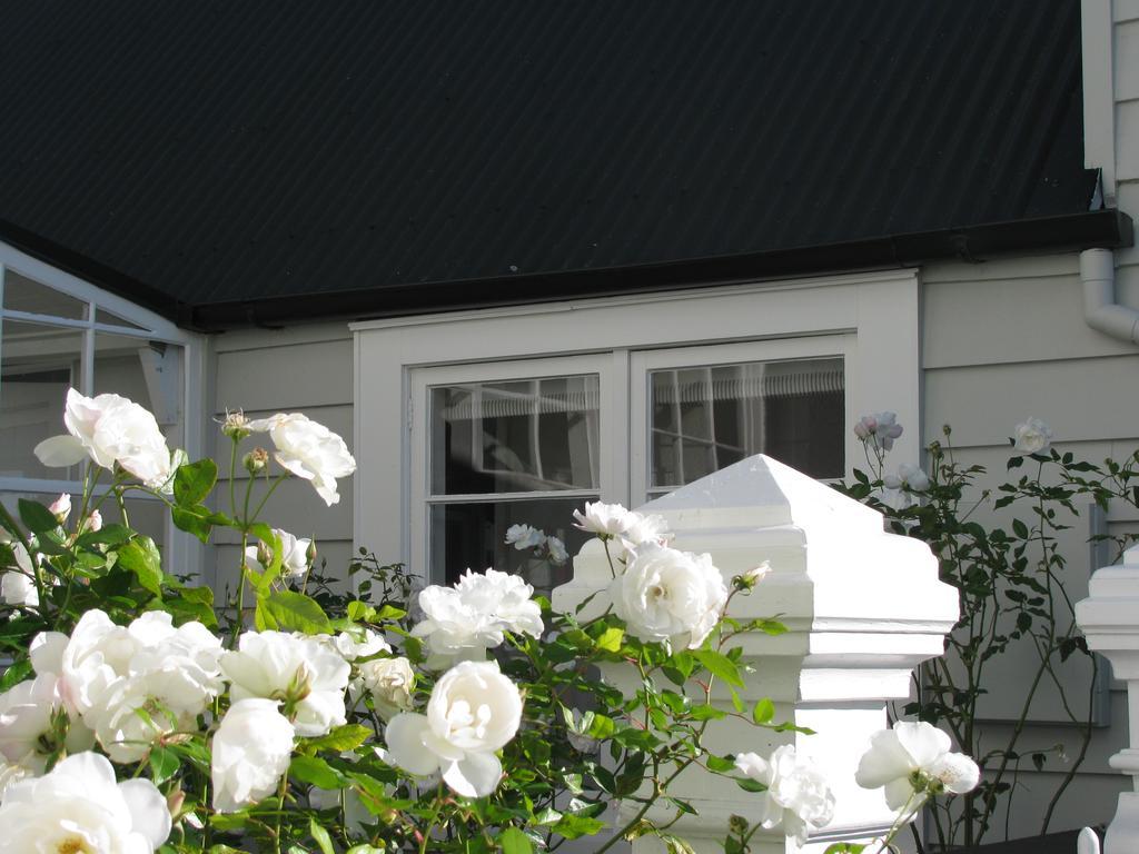 Historic Colenso Cottage Napier Bagian luar foto